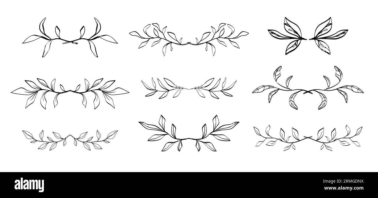 Floral dividers set Hand drawn leaf borders decor Stock Vector Image ...