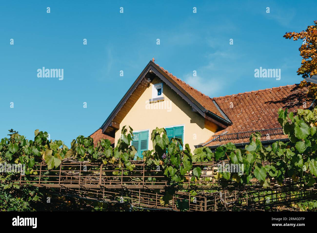 Entrance court typical french hi-res stock photography and images - Alamy
