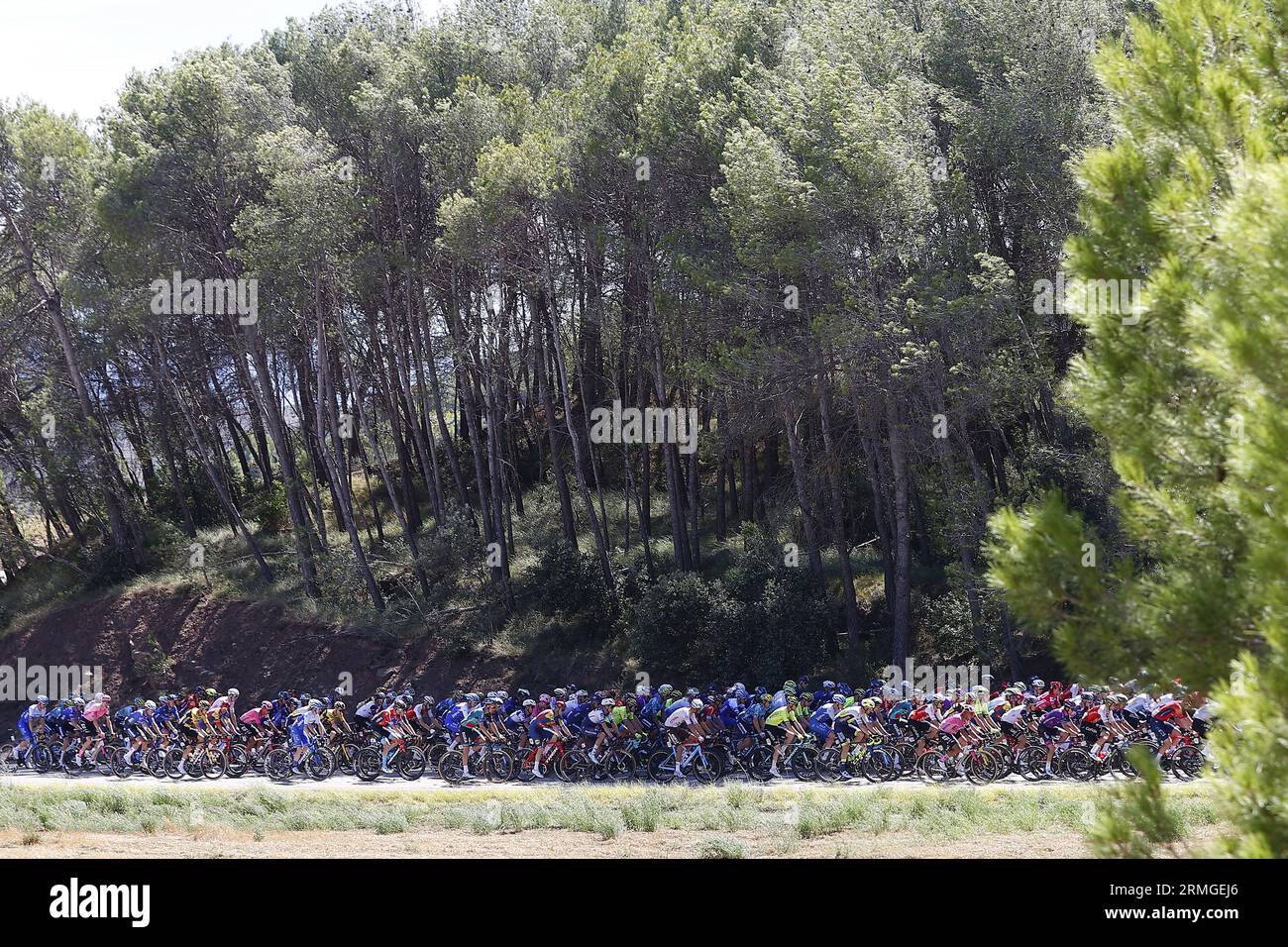 Arinsal, Andorra. 28th Aug, 2023. The pack of riders pictured in action during stage 3 of the 2023 edition of the 'Vuelta a Espana', Tour of Spain cycling race from Suria to Arinsal, Andorra (158, 5 km), Monday 28 August 2023. The Vuelta takes place from 26 August to 17 September. BELGA PHOTO JOSEP LAGO Credit: Belga News Agency/Alamy Live News Stock Photo