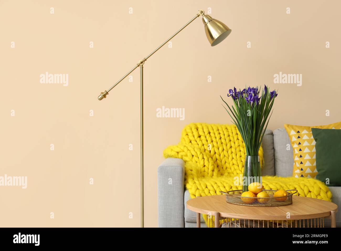 Interior of living room with grey sofa, table and lamp Stock Photo - Alamy