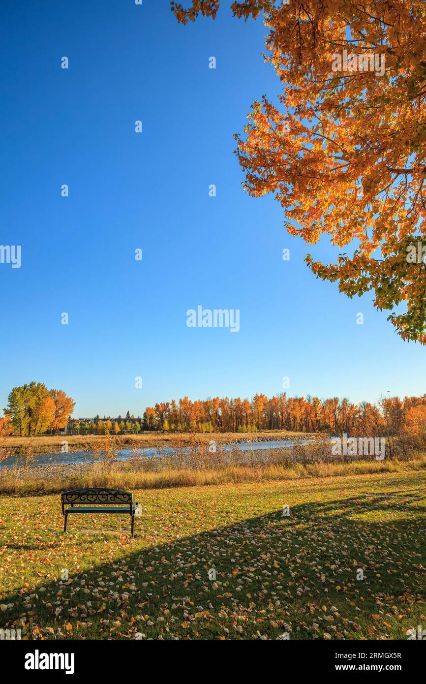 A bench on a pak lawn overlooking a river on a sunny autumn day Stock Photo