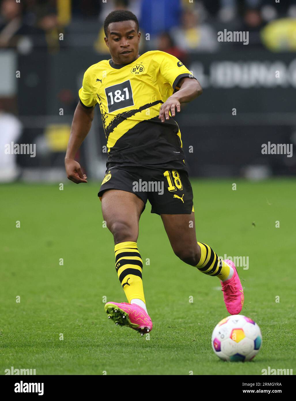Bvb soccer outlet