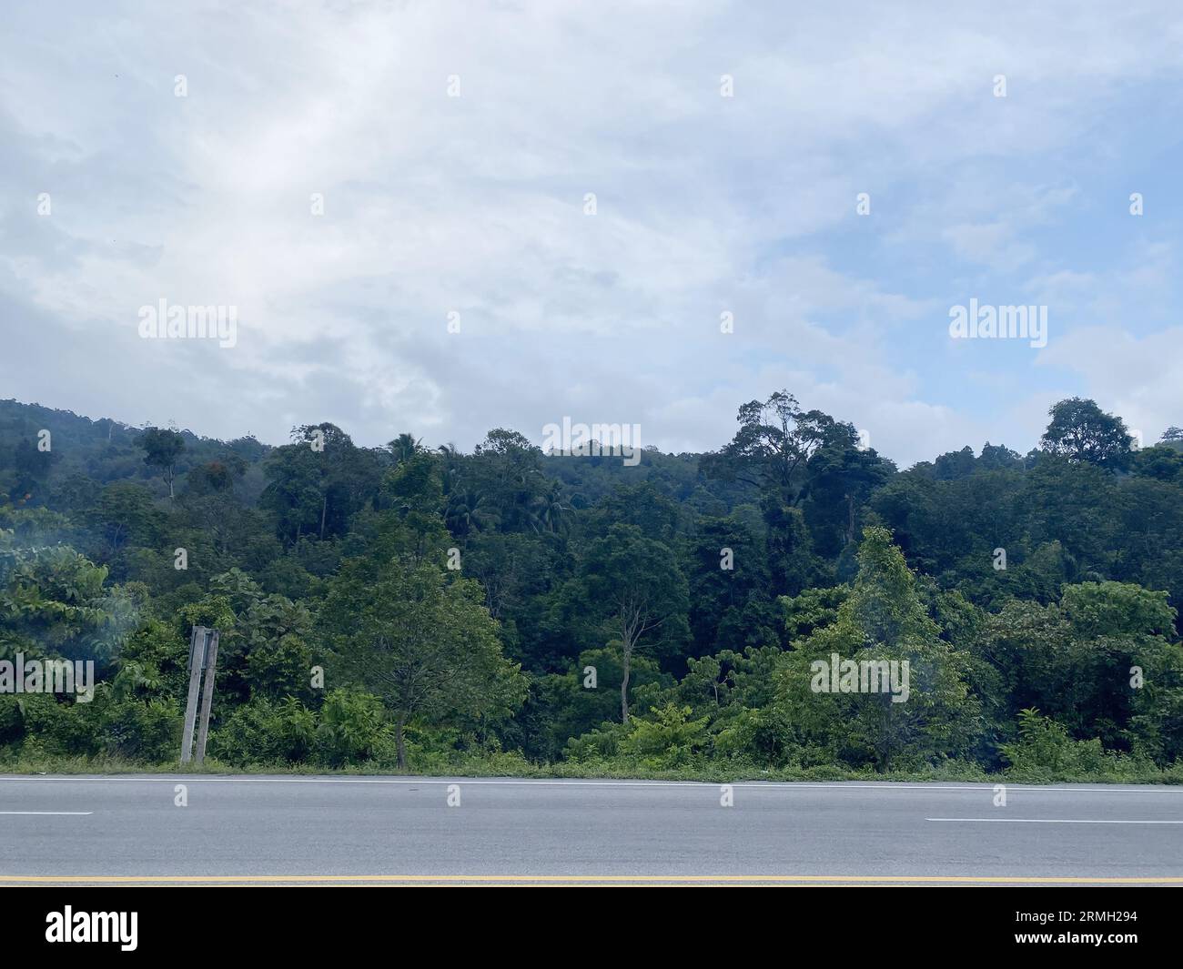 road asphalt in the forest nature countryside of Thailand, road environment high voltage electric pol. tree jungle travel green landscape. road way. Stock Photo