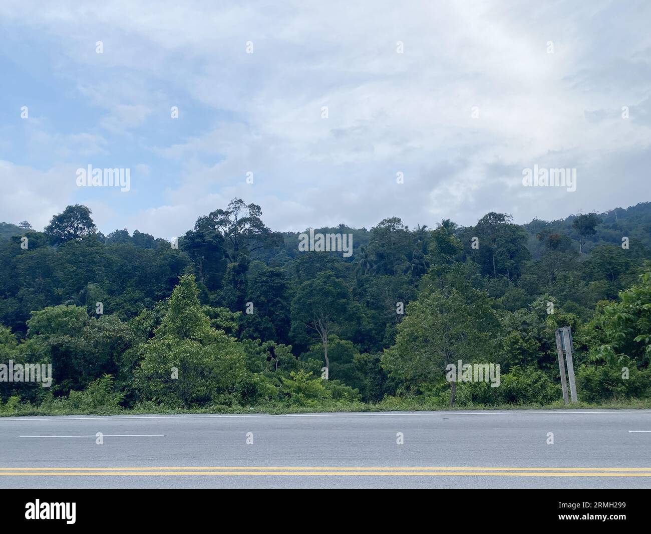 road asphalt in the forest nature countryside of Thailand, road environment high voltage electric pol. tree jungle travel green landscape. road way. Stock Photo