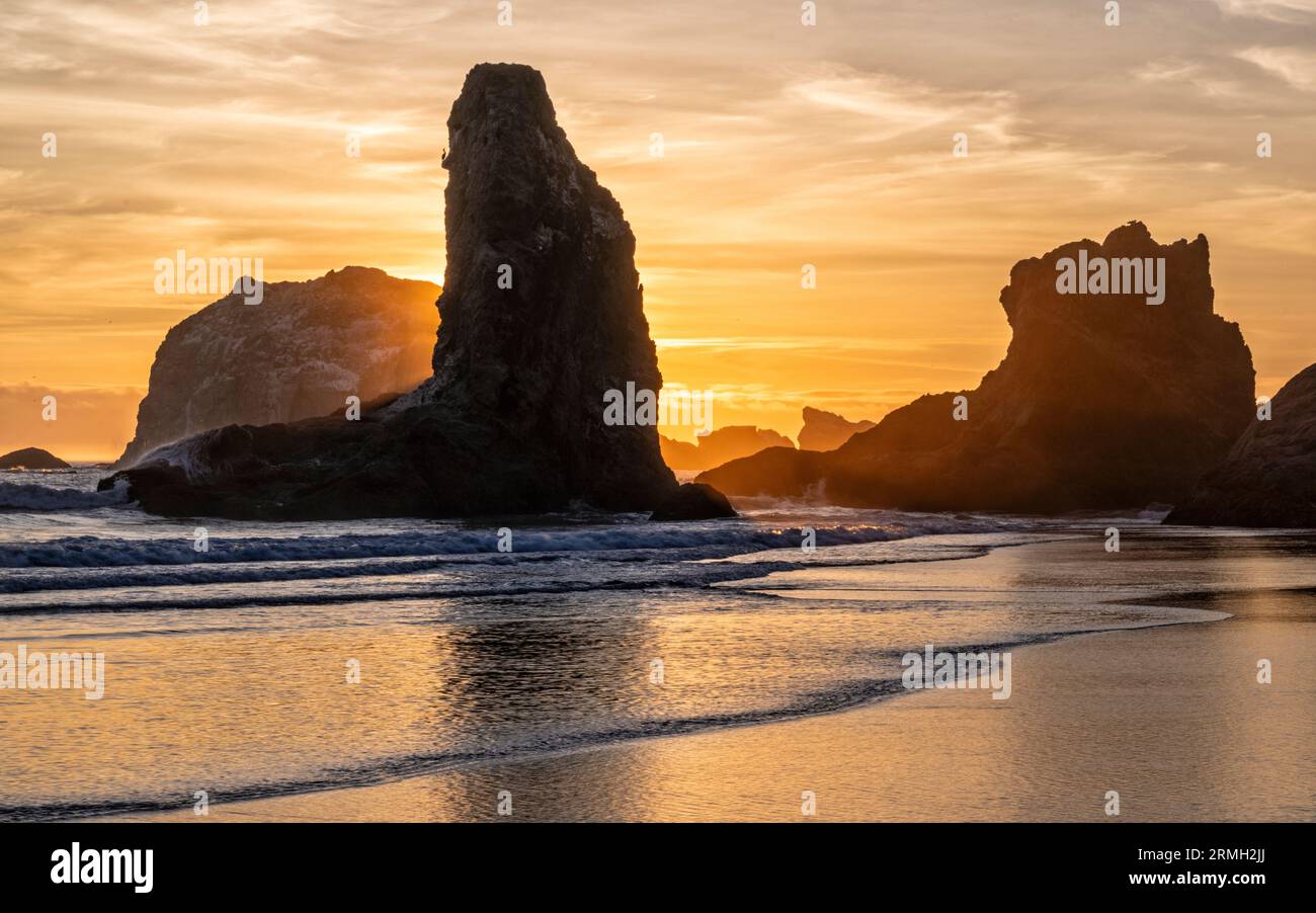 Golden light surrounds sea stacks, reflected in the Pacific Ocean on