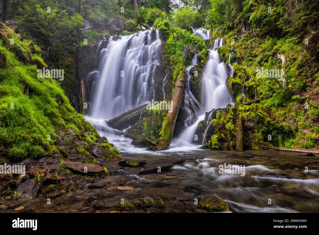 Siskiyou national forest hi-res stock photography and images - Alamy