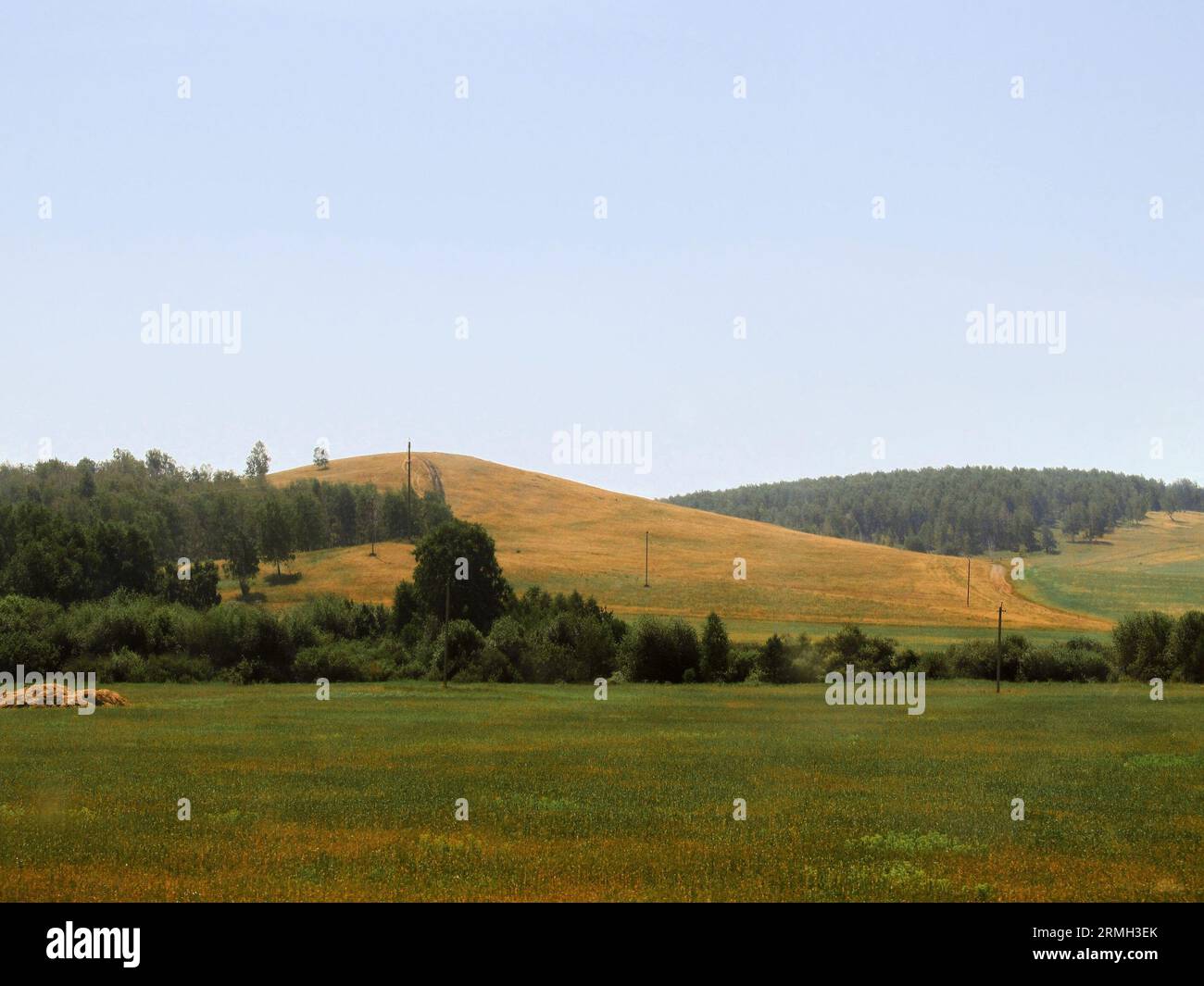 Hilly rural landscape. Field, trees and a hill covered with yellowed grass against a clear sky Stock Photo
