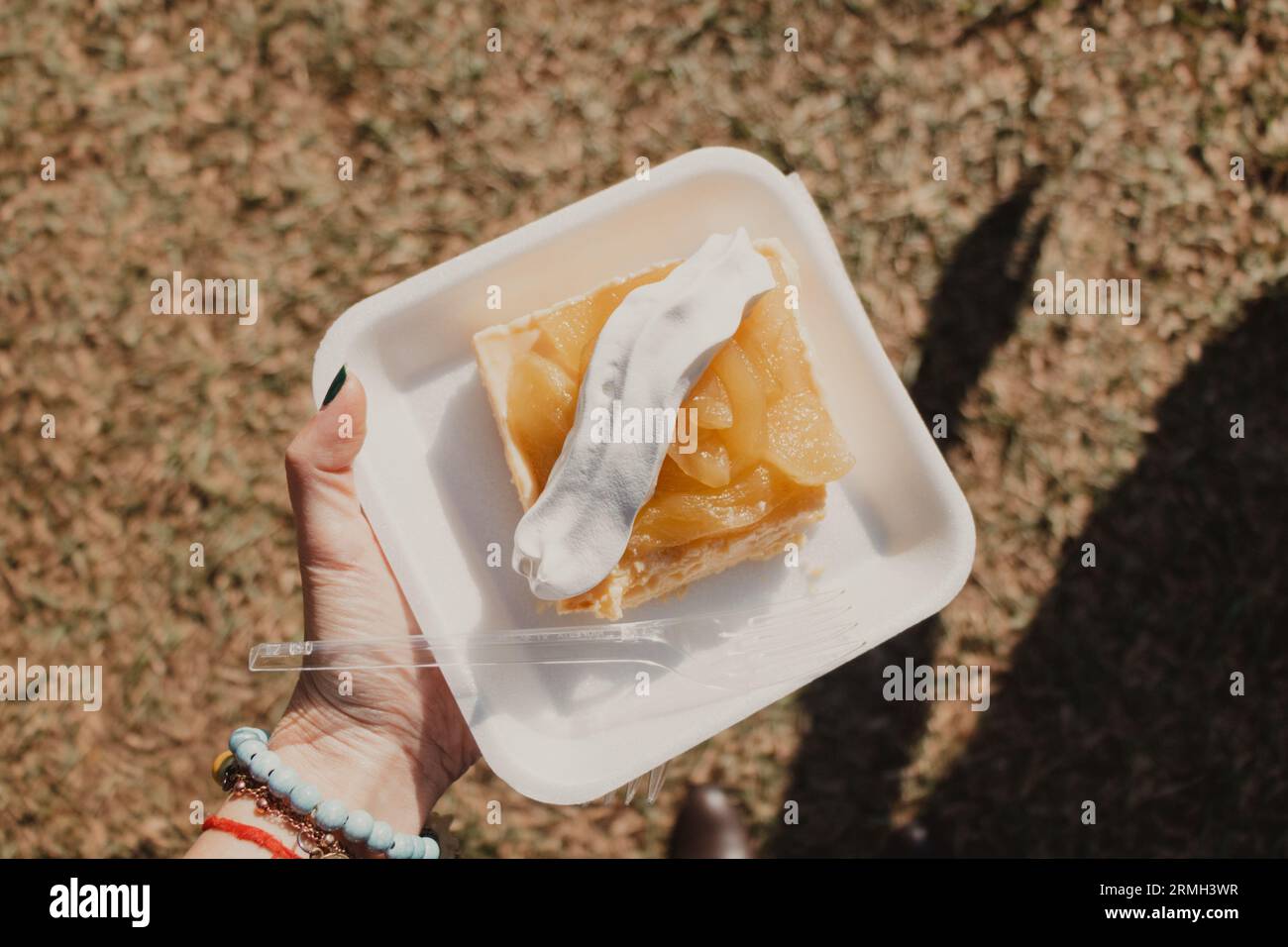 holding a disposable plate of apple pie Stock Photo