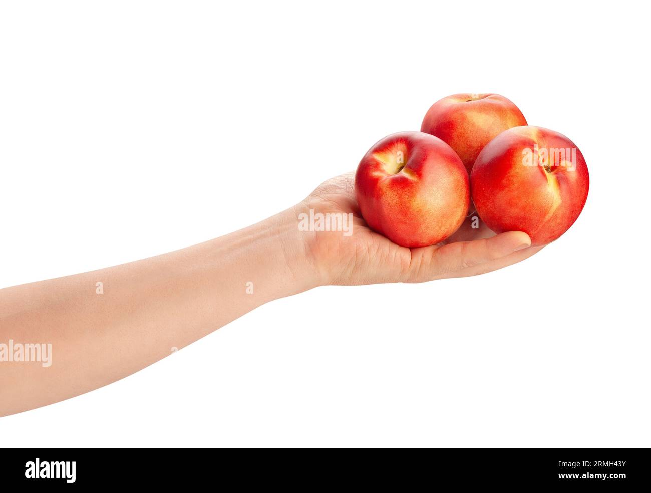 white nectarine in hand path isolated on white Stock Photo