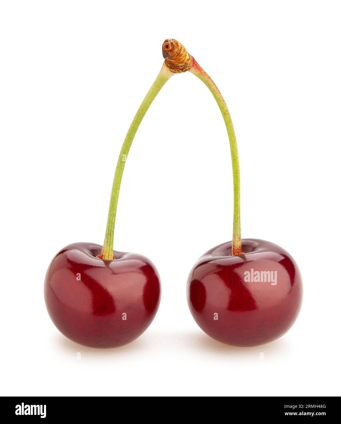 sour cherry path isolated on white Stock Photo