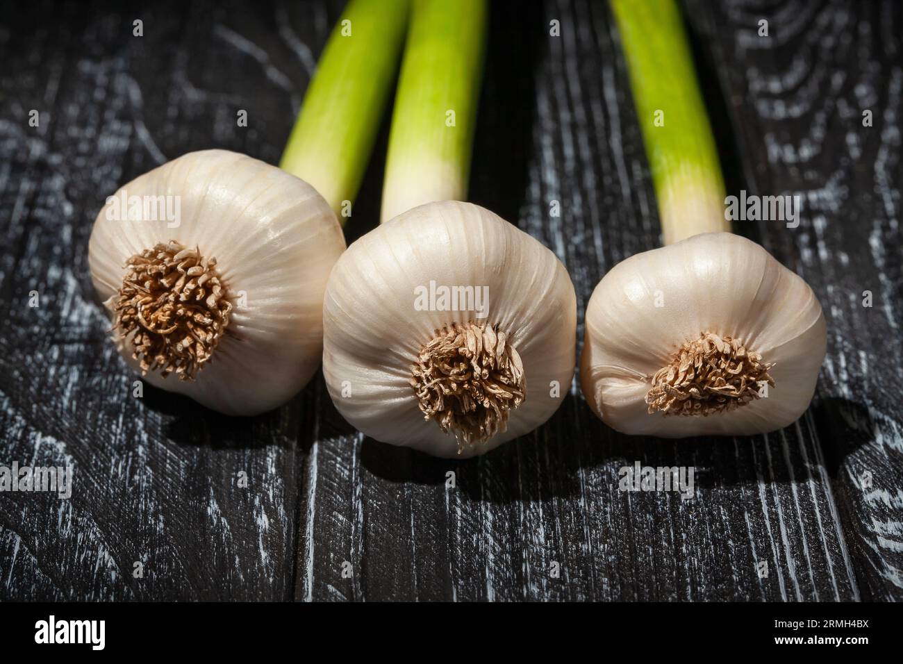 young garlic on wood background Stock Photo