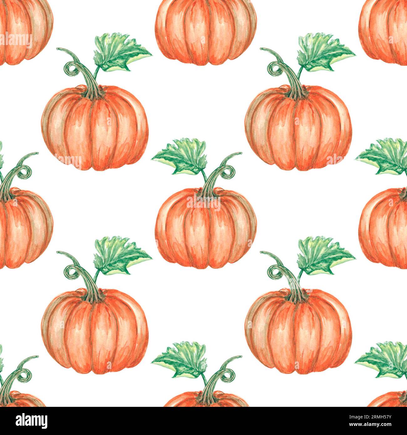 Watercolor pumpkin seamless pattern on white background. Autumn orange ...