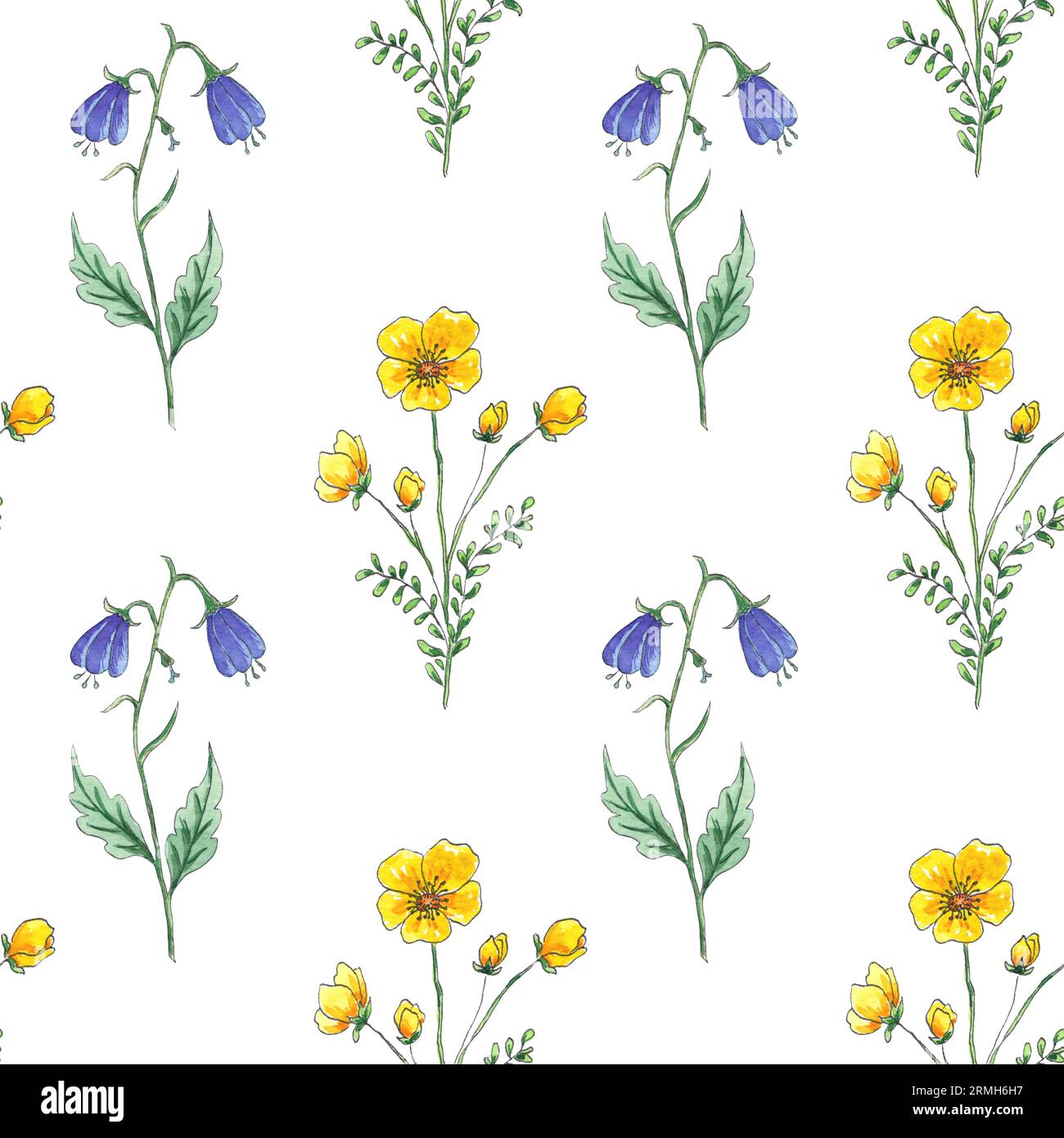 Watercolor seamless pattern yellow and blue wildflowers on white ...
