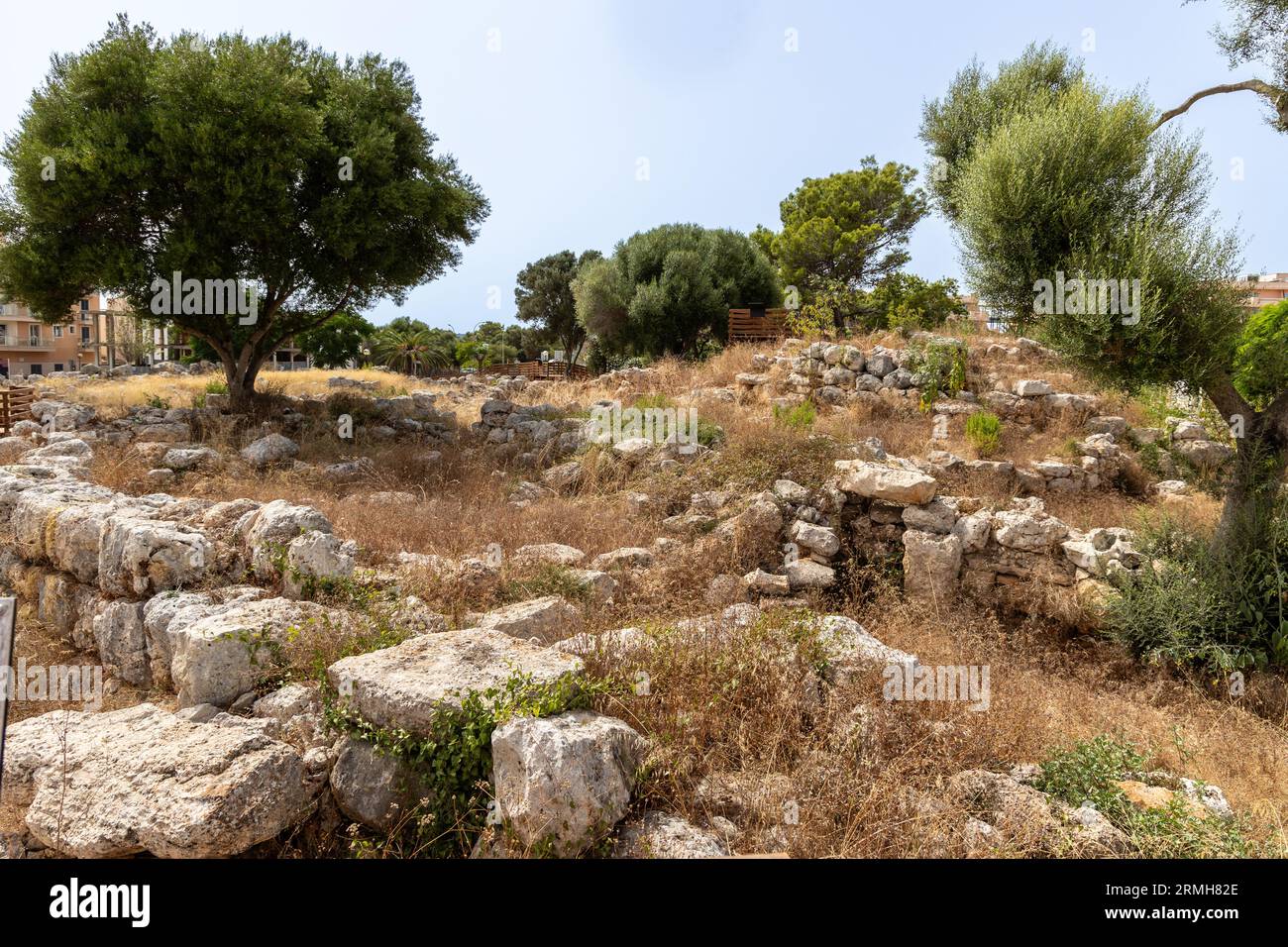 Ruins of a talaoitic sttlement in S'illot, Majorca Stock Photo