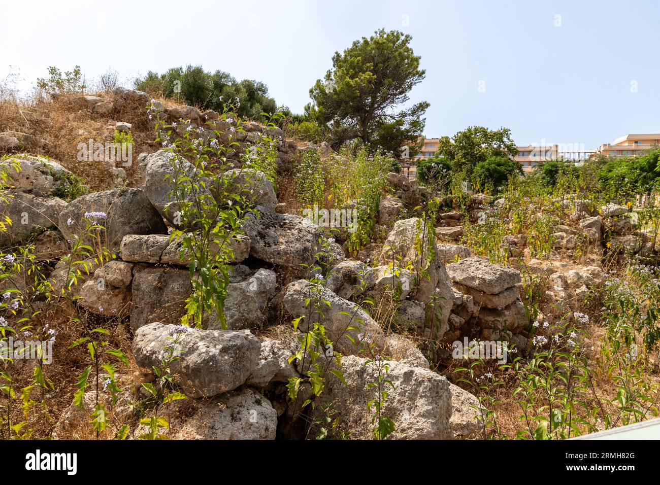 Ruins of a talaoitic sttlement in S'illot, Majorca Stock Photo