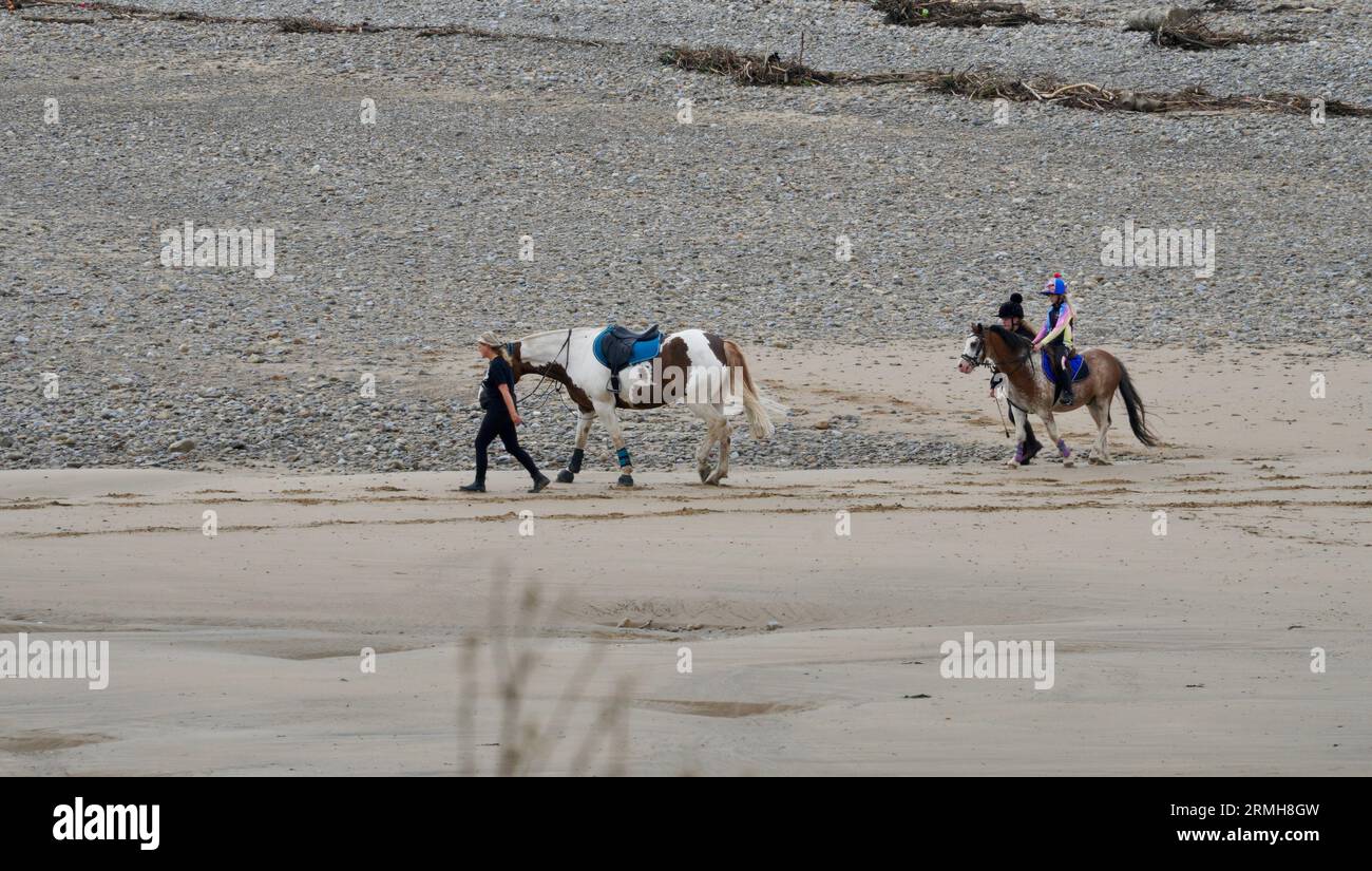 the-large-expanse-of-sand-provides-ample-space-for-many-types-of