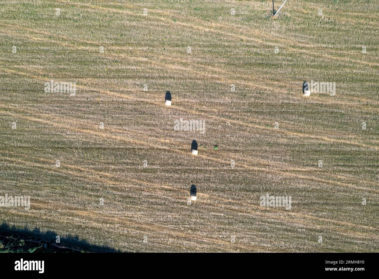 Corn field aerial weed hi-res stock photography and images - Alamy