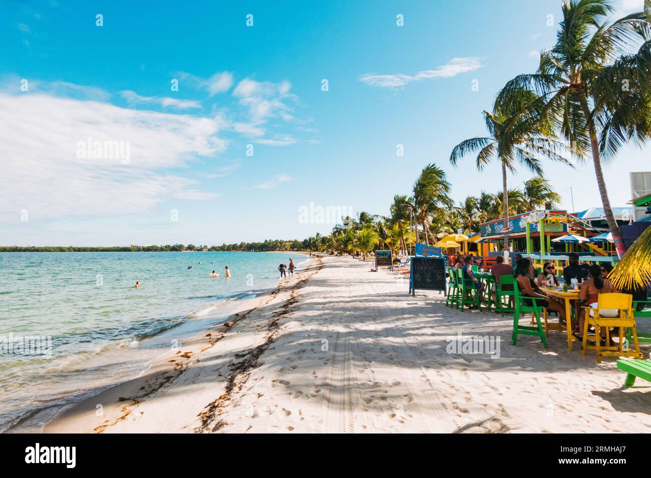 The blue water, white sand and palm-lined beach of Placencia, in ...