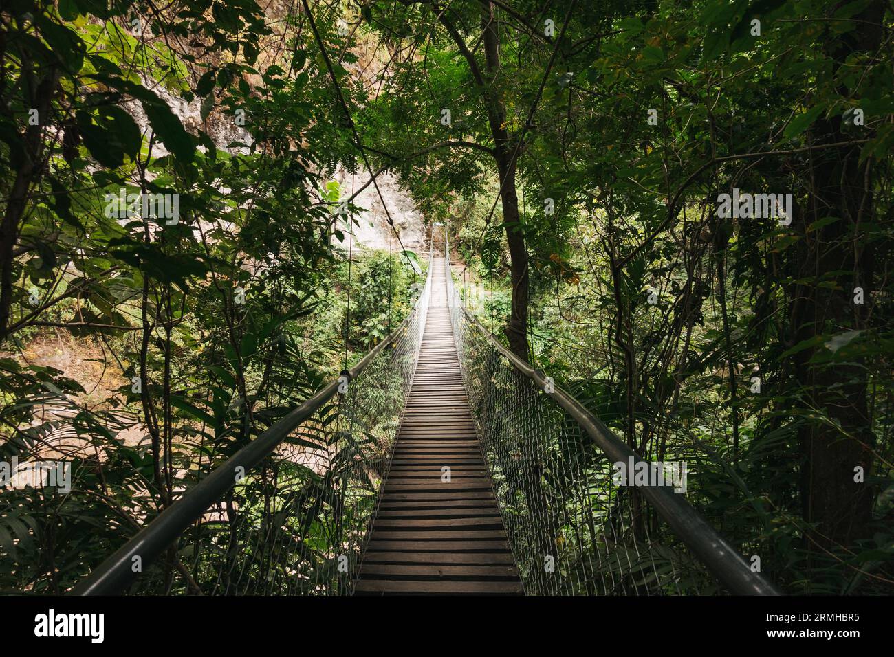 a cable bridge with wood planks in Atitlán Natural Reserve, a nature preserve on the shores of Lake Atitlan, Guatemala Stock Photo