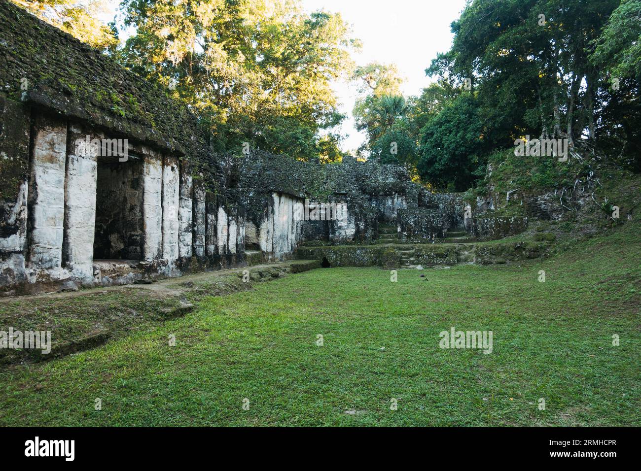 doorways and walls at the Palace of the Grooves, part of the Tikal archaeological park, a former ancient Mayan city in present-day Guatemala Stock Photo