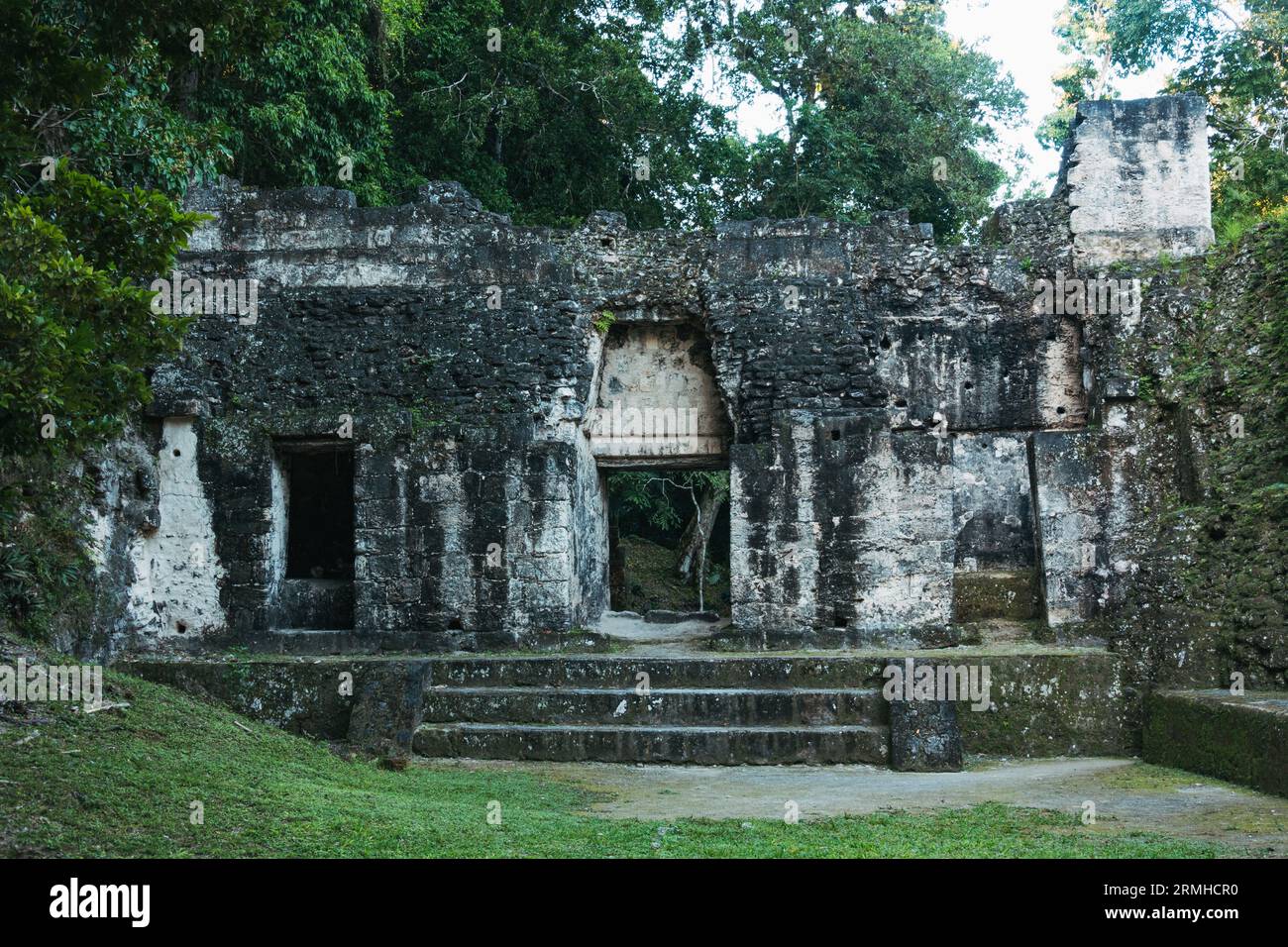 doorways and walls at the Palace of the Grooves, part of the Tikal archaeological park, a former ancient Mayan city in present-day Guatemala Stock Photo