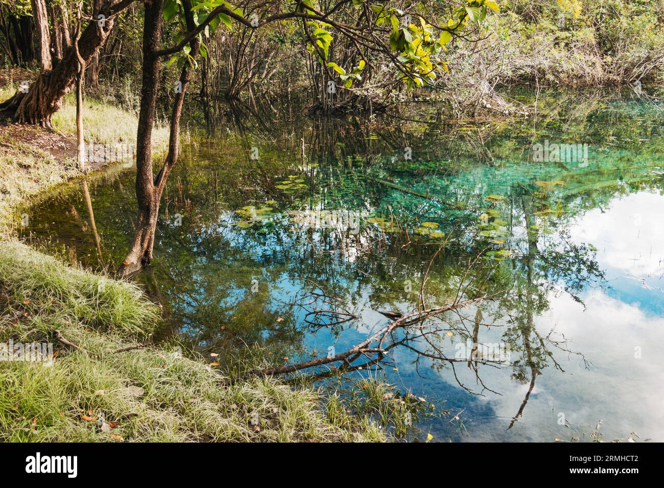 crystal clear waters of Crater Azul Blue Crater in northern Guatemala Stock Photo Alamy