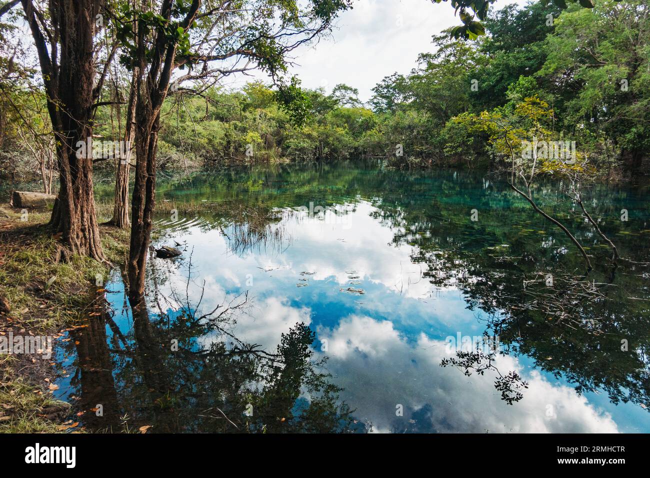 crystal clear waters of Crater Azul Blue Crater in northern Guatemala Stock Photo Alamy