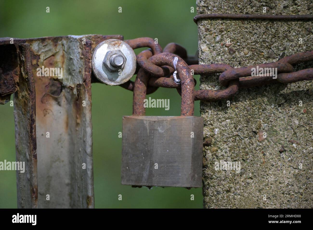 Weathered metal garden gate, closed with a rusty chain and an old padlock against a green background, copy space, selected focus, narrow depth of fiel Stock Photo