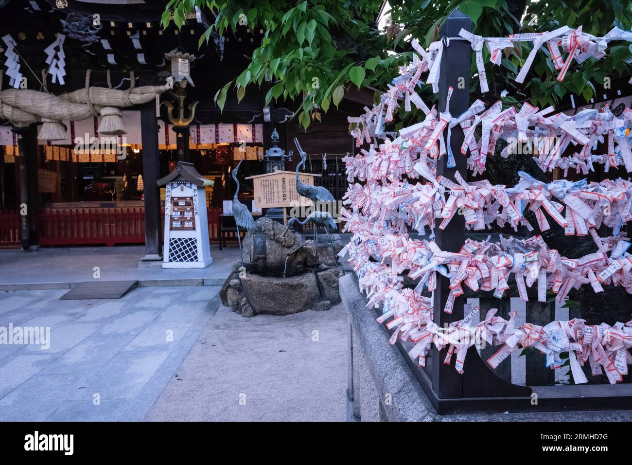 Japan, Fukuoka. Kushida Shinto Shrine. Papers (Omikuji) Contain Bad Luck Fortunes, Left for the Shrine to Protect the Recipient by Delaying their Occu Stock Photo
