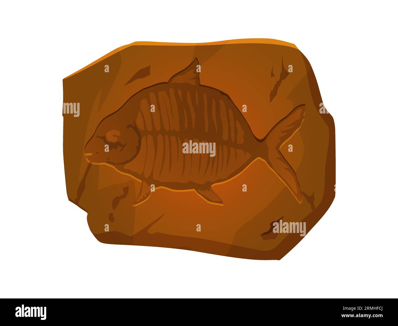 Fish fossil scale Stock Vector Images Alamy