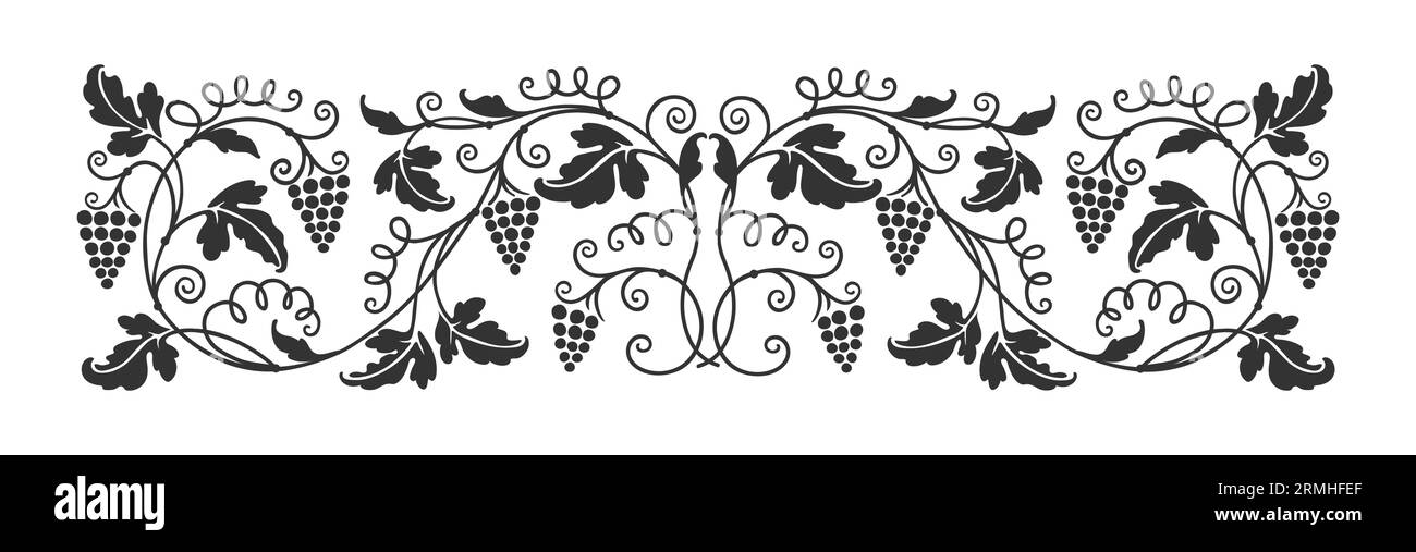 Grape vine ornament, wine border and vineyard branch, vector floral