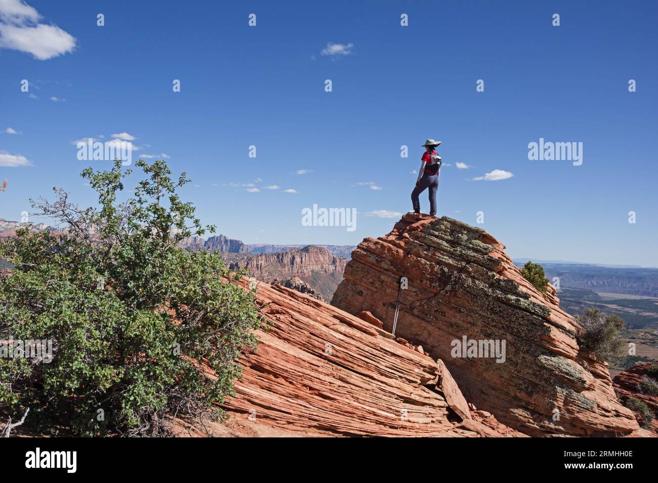 back view of day hiking woman standing on Lambs Knoll near Zion National Park in Utah enjoying the view Stock Photo