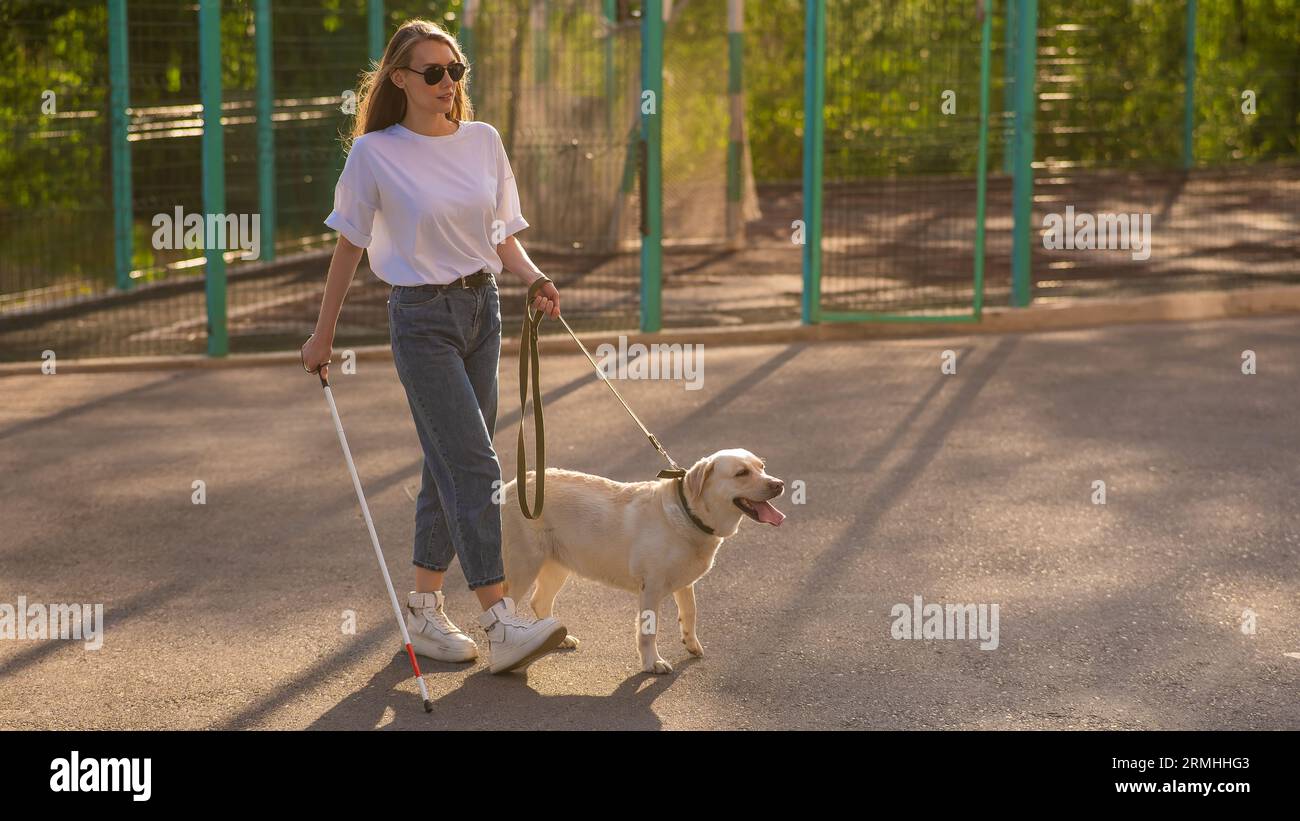 Blind woman walking with guide dog Stock Photo - Alamy