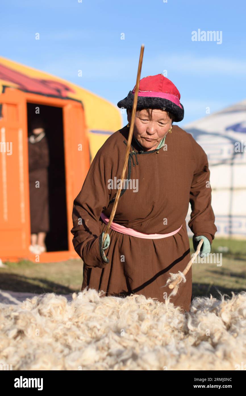 Ulaanbaatar, Tuv, Mongolia. 20 Aug 2023. Mongolian woman is beating