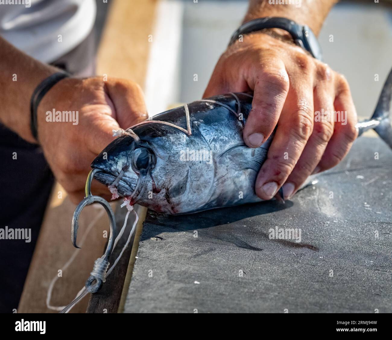 Reeling in a fish hi-res stock photography and images - Page 3 - Alamy