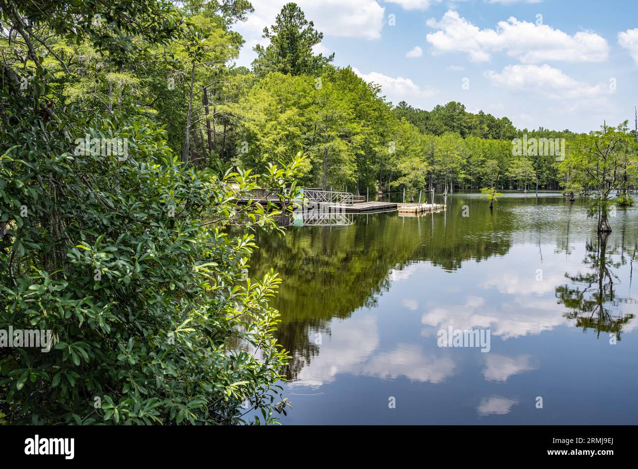 Dock and kayak launch on Watson Pond at L. Smith State Park in