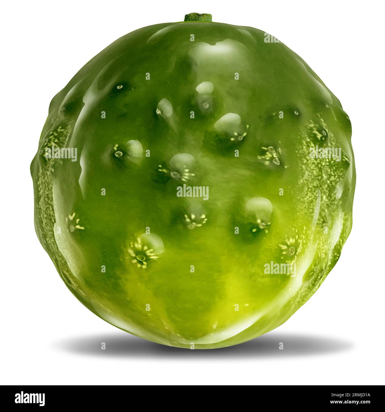 Pickle Ball or Pickleball paddle sport or racket game symbol as a funny