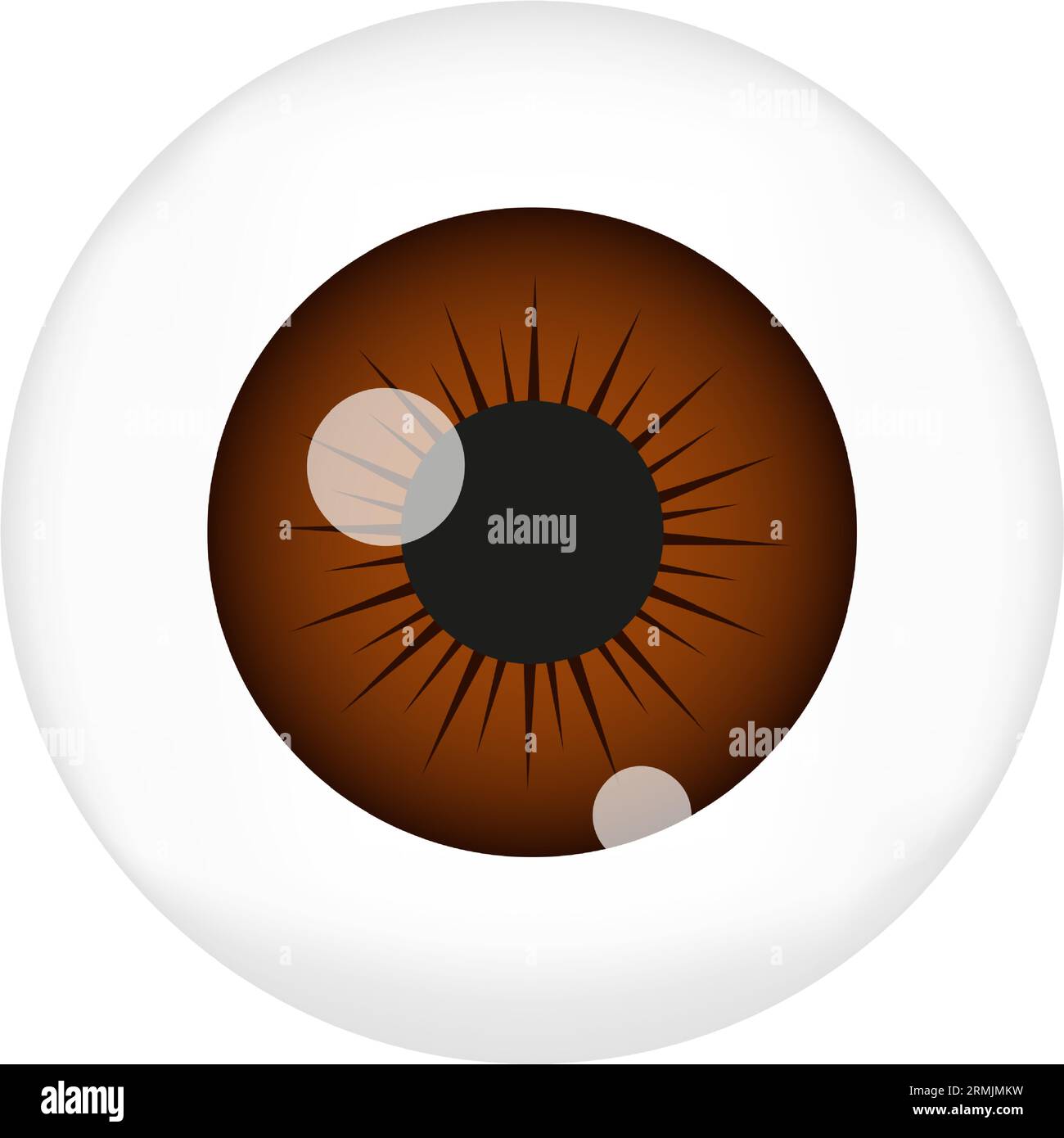 Human eyeball with brown pupil. Eye ball closeup view isolated on white