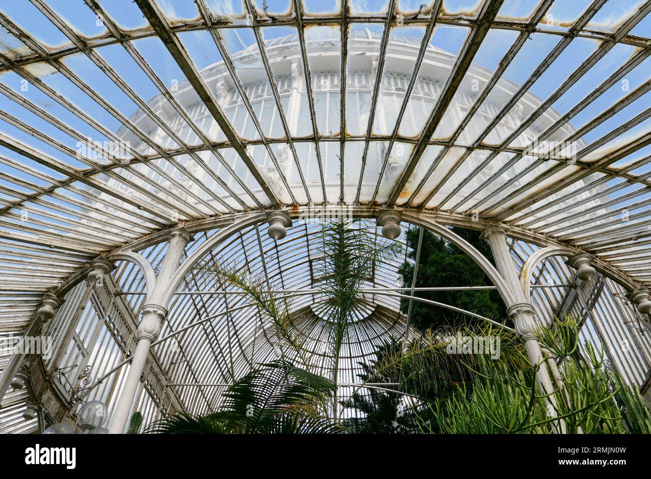 Northern Ireland, Belfast: Botanic Gardens. Outside of the Palm House, one of the greenhouses. Founded in 1828, the garden, then private, was called R Stock Photo