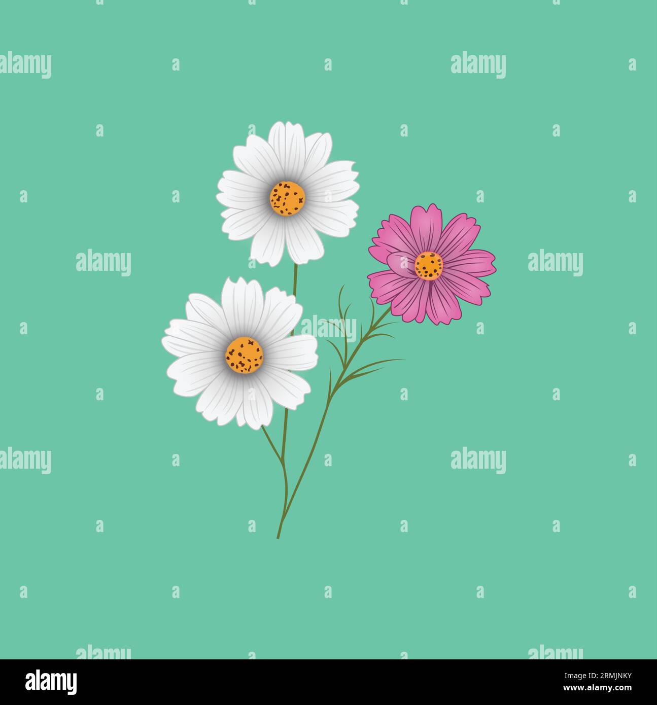 Types of Flower vector outline on a white Background Stock Vector