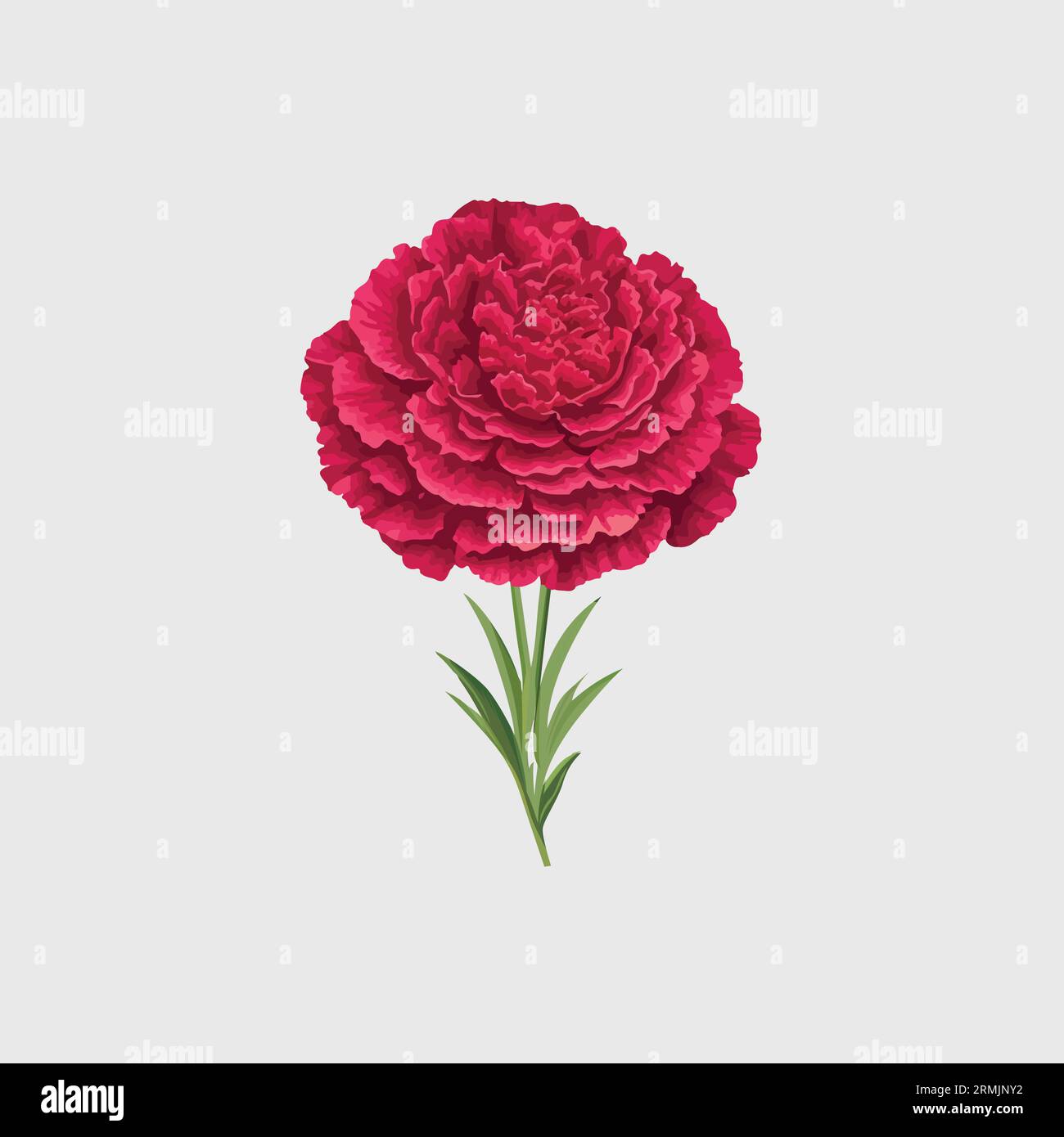 Vector floral bouquet illustration featuring a solitary carnation flower Stock Vector