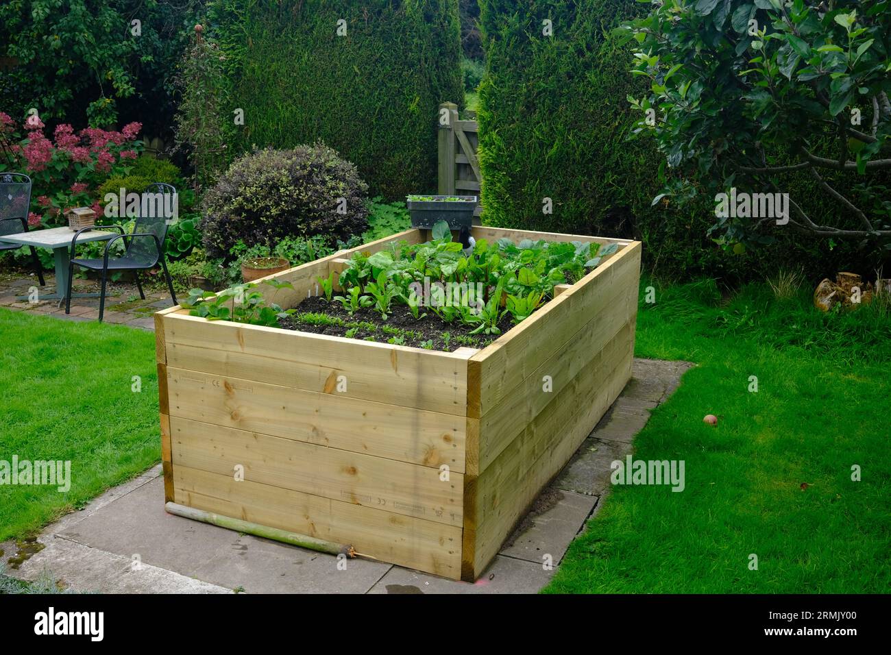 Raised Beds for growing Fruit, Vegetables, Salad and Herbs. Better for people with limited mobility. Both in a commercial and domestic garden. Stock Photo