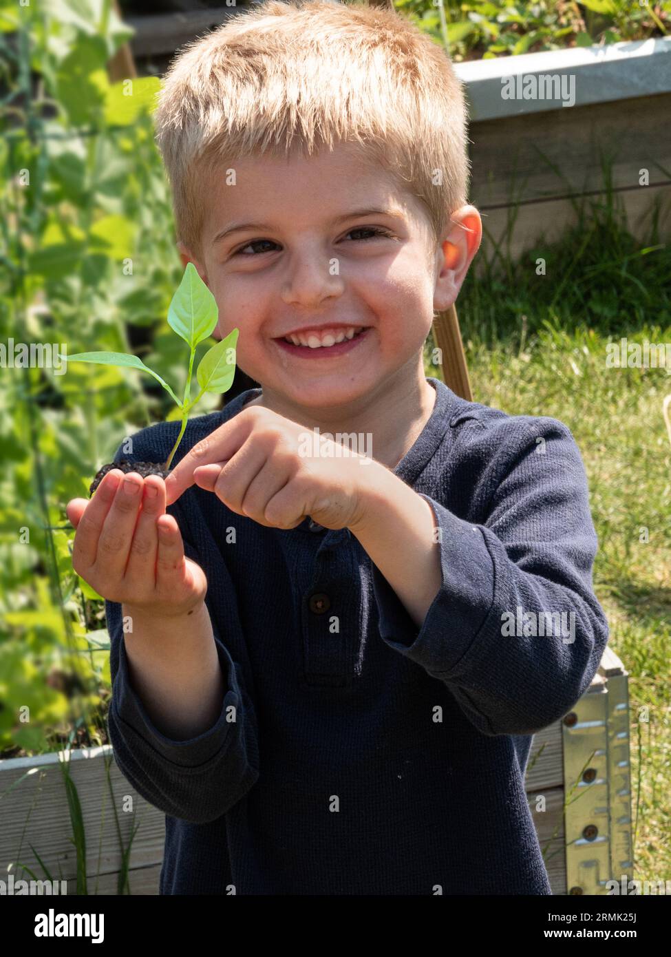 Young boy holdingand pointing at seedling plant sprout in hand to plant in soil. Ecology and Earth Day concept. Stock Photo