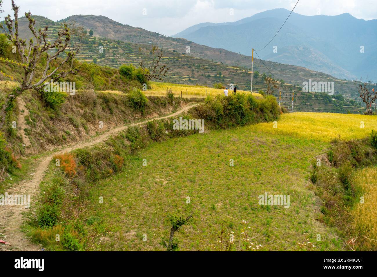Terrace farming uttarakhand hires stock photography and images Alamy