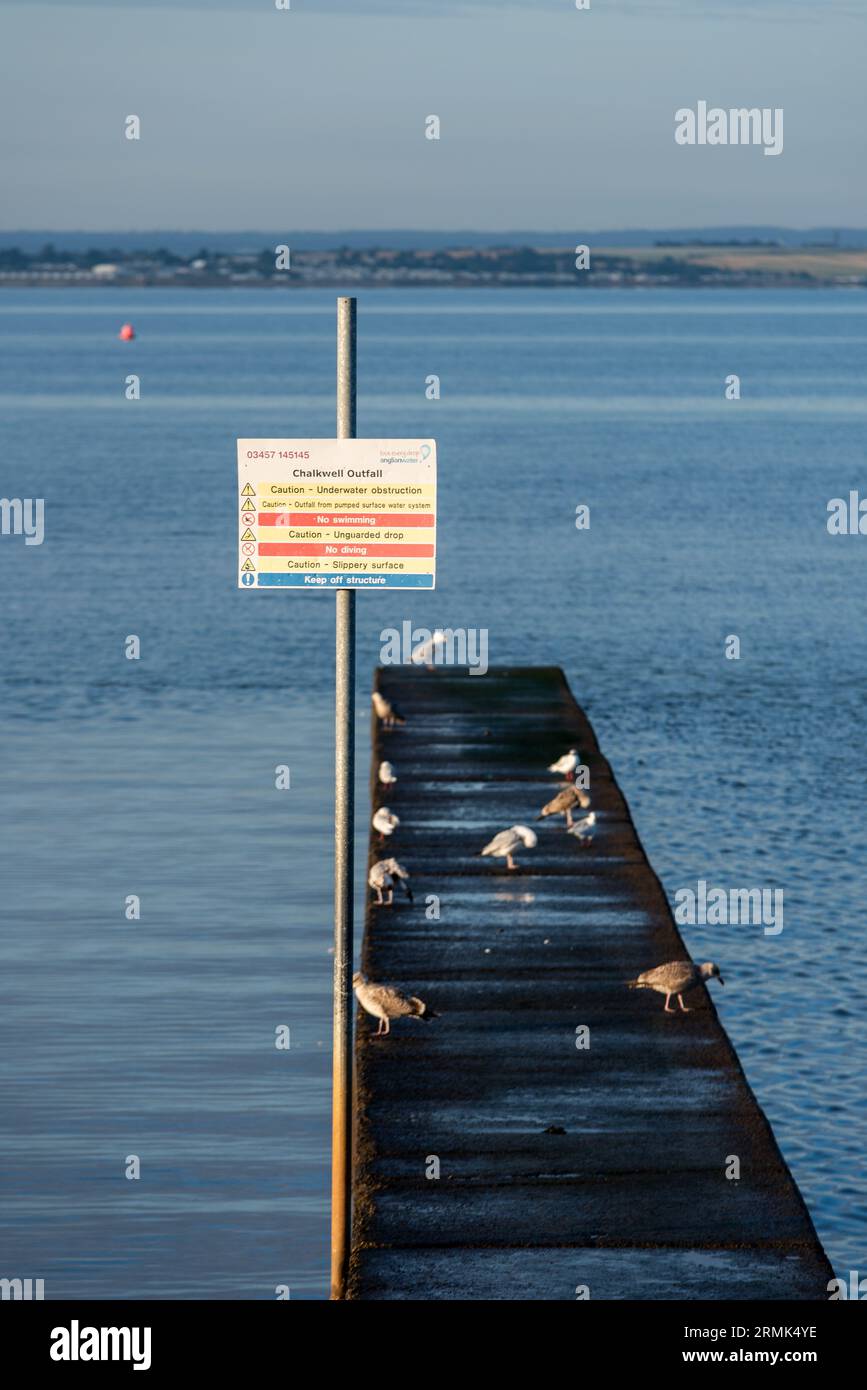 Chalkwell Outfall warning sign in the Thames Estuary at Chalkwell, Southend on Sea, Essex, UK. Anglian Water outfall. Birds Stock Photo