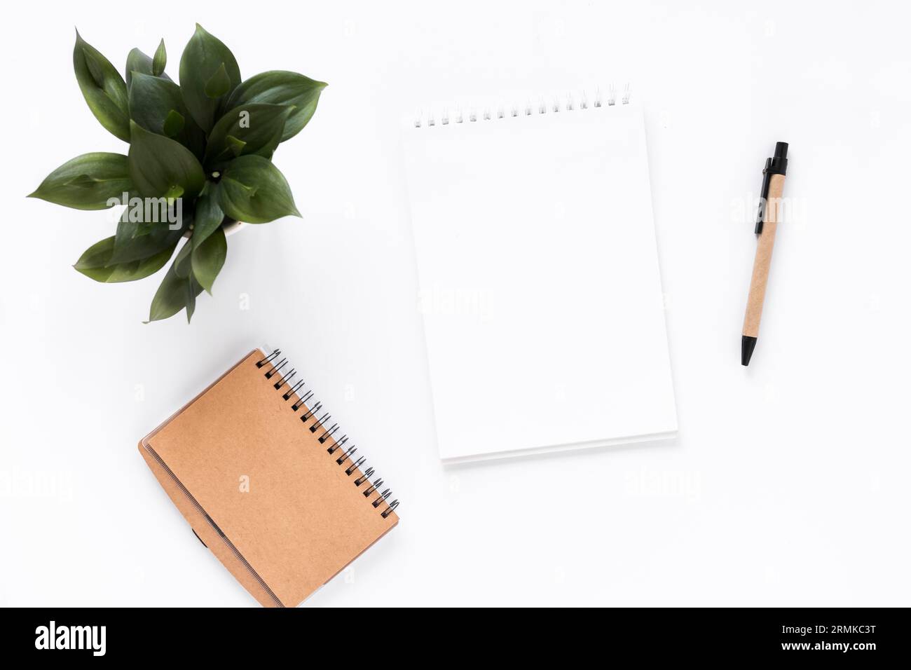 Angled Notepad High angle view spiral notepad diary potted plant pen white background ...
