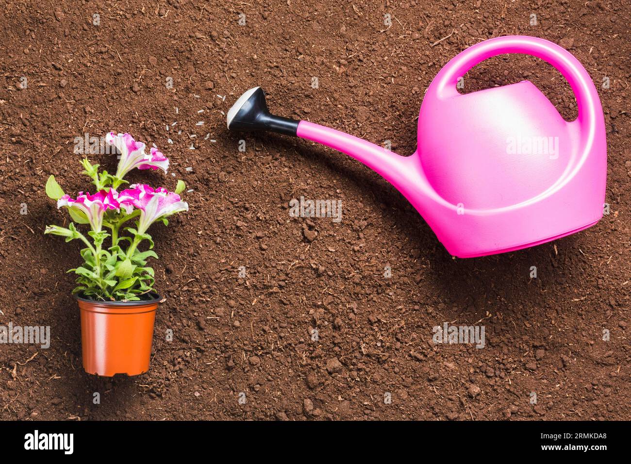 Top view watering can ground Stock Photo
