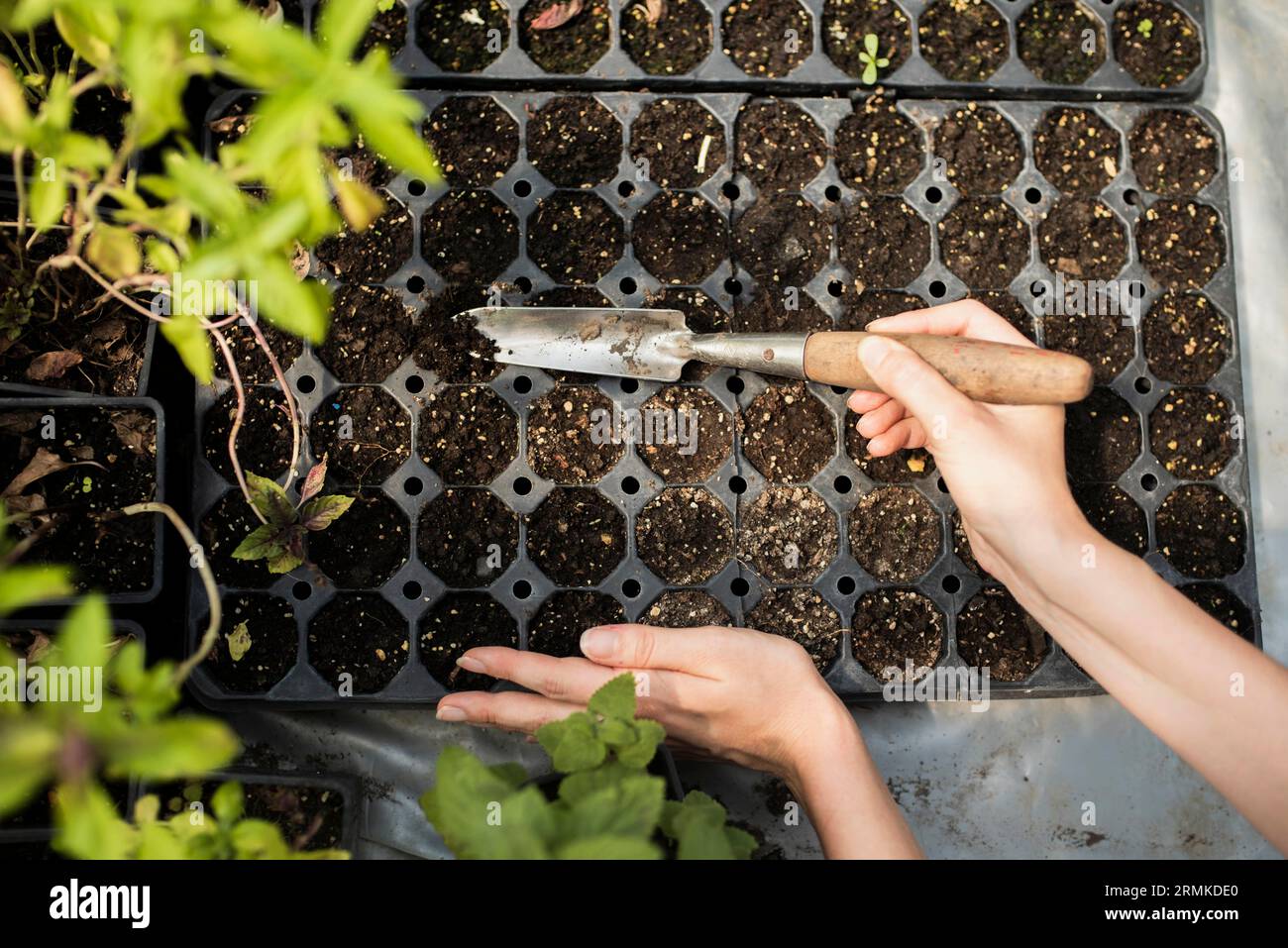 Woman gardening with garden throwel Stock Photo