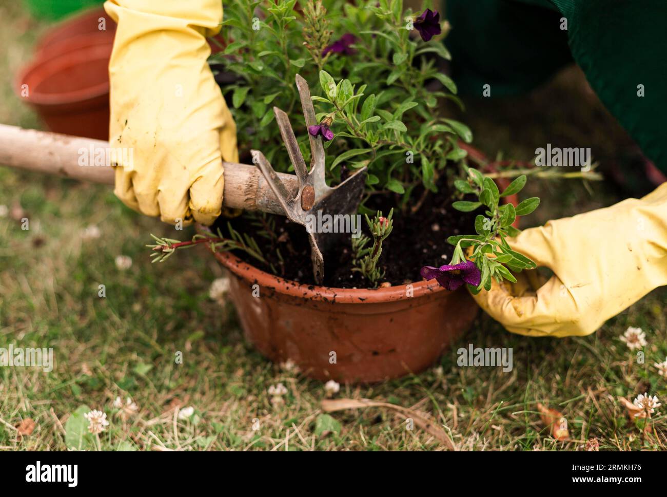 Close up person with flower pot Stock Photo