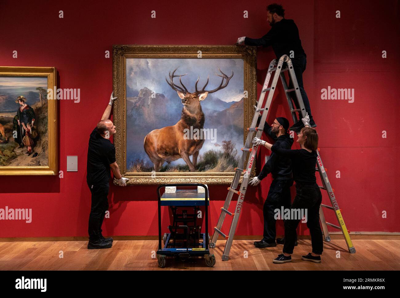 RETRANSMITTING CORRECTING NAME FROM EDWARD LANDSEER TO SIR EDWIN LANDSEER The Monarch of the Glen painting by Sir Edwin Landseer is moved to its new home at the National Gallery of Scotland, with only one month to go until the opening of the new Scottish galleries at the National in Edinburgh on 30 September. Picture date: Tuesday August 29, 2023. Stock Photo